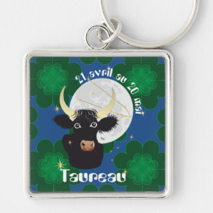 Chaveiro Taureau 21 avril 20 Mai au Clés
