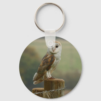 Chaveiro Tecla Barn Owl