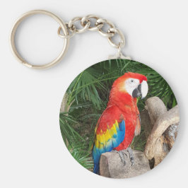 Chaveiro Tecla de papagaio vermelho