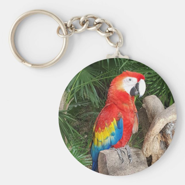 Chaveiro Tecla de papagaio vermelho (Frente)