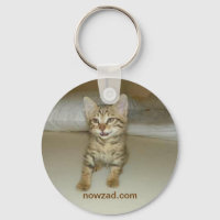 Teclado de Gato de Emergência do Nowzad