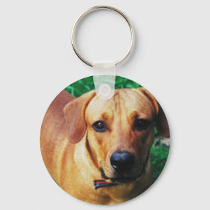 Chaveiro Teclado Personalizado de Fotografias