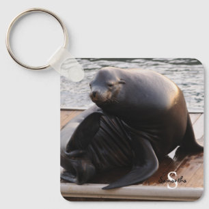 Chaveiro Teclado Sea Lion