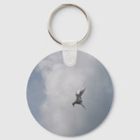 Tern na cadeia-chave do céu