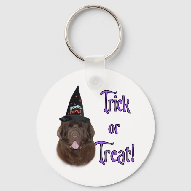 Chaveiro Terra Nova (marrom) Truque (Frente)