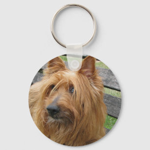 Chaveiro terrier australiano no banco.png