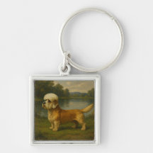 Terrier Dandi Dinmont