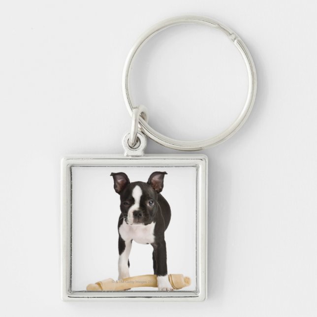 Chaveiro Terrier de Boston que guarda o osso twisty (Frente)