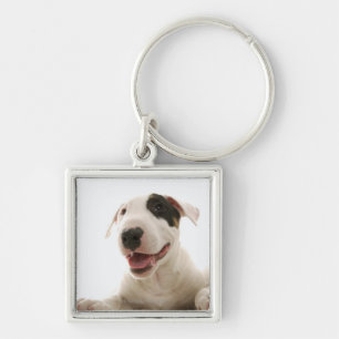 Chaveiro Terrier de Bull