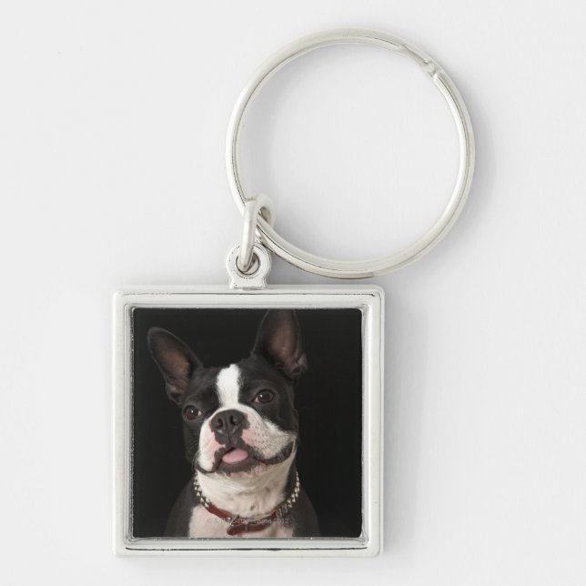Chaveiro Terrier de sorriso de Boston com colar (Frente)