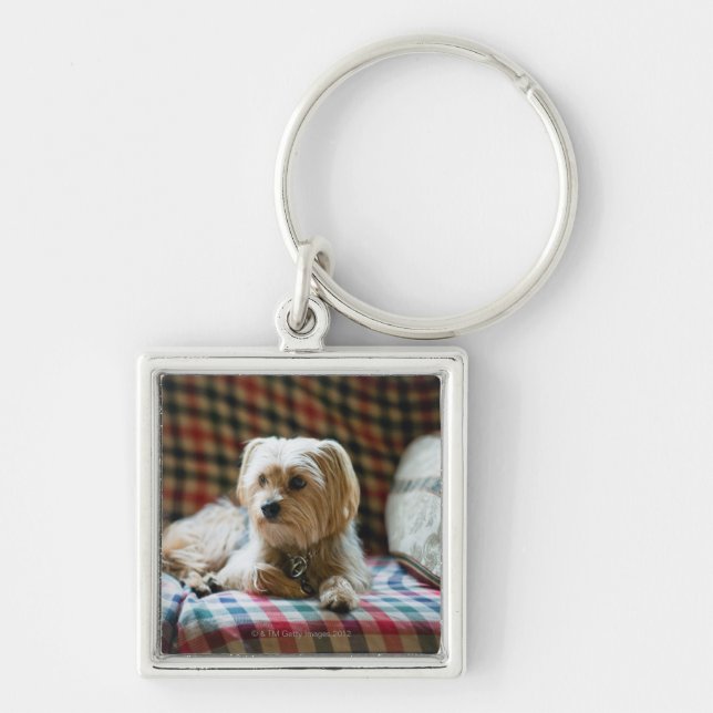 Chaveiro Terrier que encontra-se em cobertura checkered (Frente)