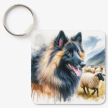 Tervuren Belga