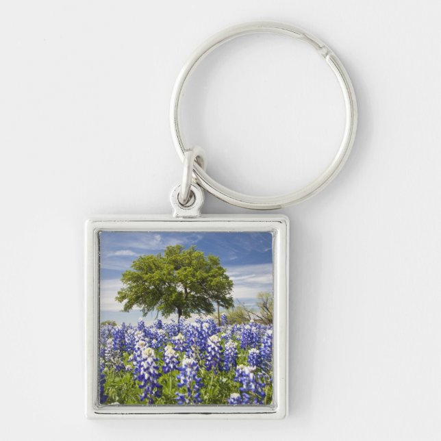 Chaveiro Texas bluebonnets(lupinus texensis) e carvalho (Frente)