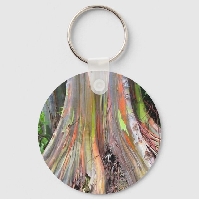 Chaveiro The Rainbow Eucalyptus Tree Products (Frente)