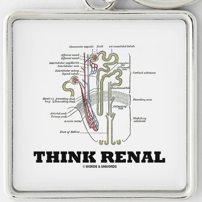 Chaveiro Think Renal (Rim Nephron) (Nephrological attitude keychain featuring a kidney's nephron with this advice "Think Renal")