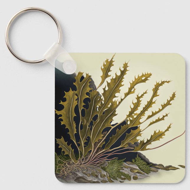 Chaveiro Tidal Fronds (Frente)