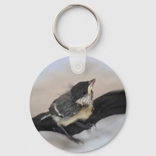 Chaveiro Tidi, meu Pássaro, o Parus Major