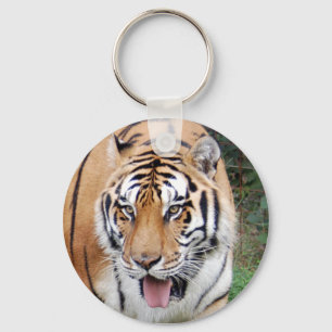Chaveiro Tiger Friends-010