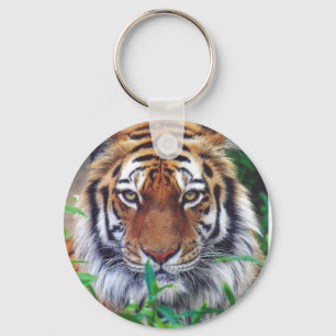 Chaveiro Tiger Stare