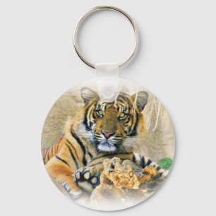 Chaveiro Tigre,Buscando_