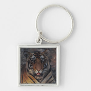 Chaveiro Tigre Cub de Bengal
