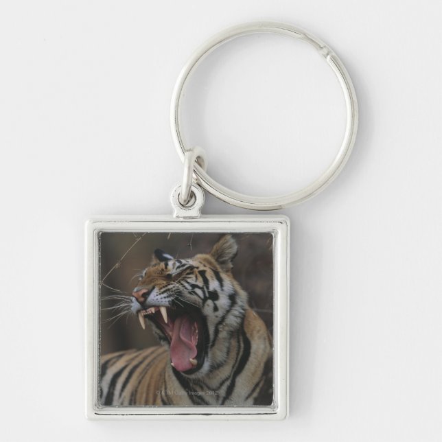 Chaveiro Tigre Cub que boceja (Frente)
