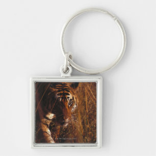 Chaveiro Tigre de Bengal