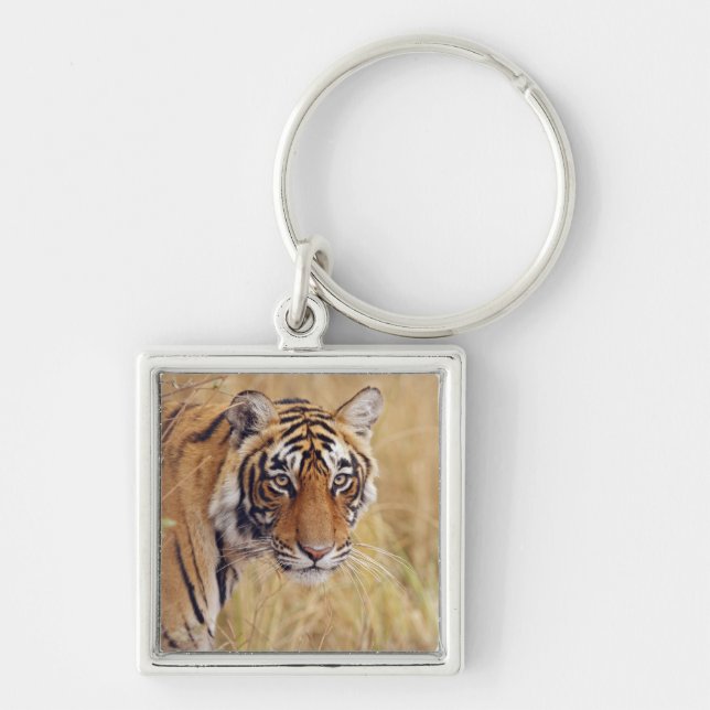 Chaveiro Tigre-de-bengala-real (Frente)
