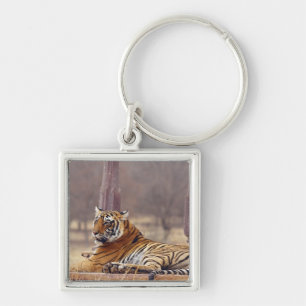 Chaveiro Tigre-de-bengala-real no ceaph,