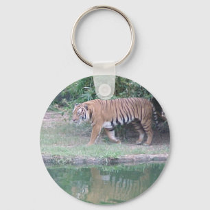Chaveiro Tigre entre a Índia e a China