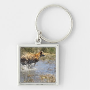Chaveiro Tigre (Panthera tigris) que funciona através da