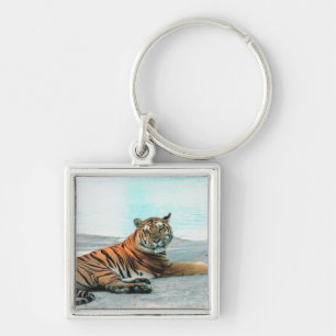 Chaveiro Tigre pelo rio