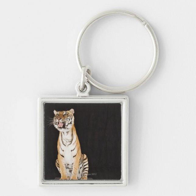 Chaveiro Tigre que ruje (Frente)