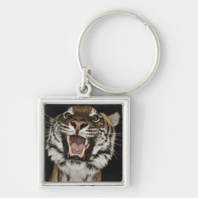 Chaveiro Tigre que ruje 2 (Frente)
