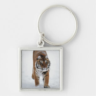 Chaveiro Tigre Siberian na neve