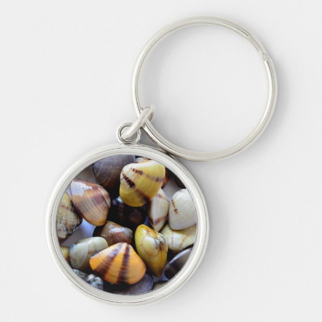Chaveiro Tiny Colorful Clam Shells (Frente)