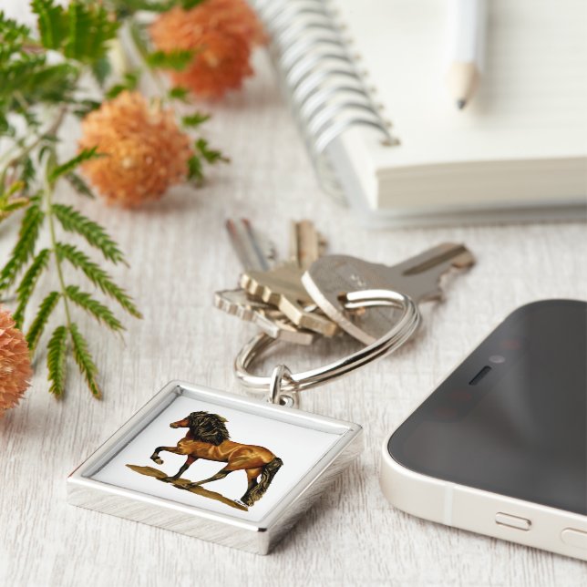 Chaveiro Tolice no movimento dois (Lateral)