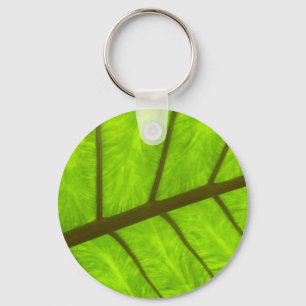 Chaveiro Toque-chave Ear Taro