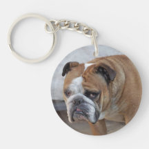 Toque de chave acrílica em inglês / Keyring de cão