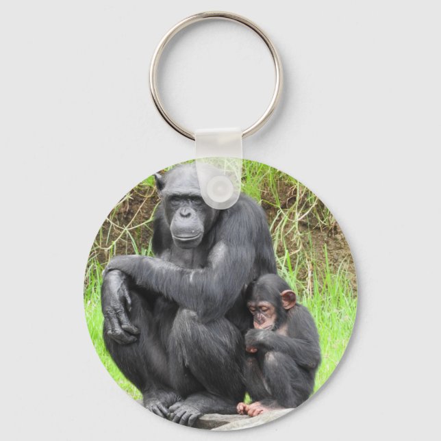 Chaveiro Toque de Chimpanzee Key (Frente)
