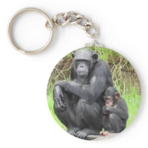 Toque de Chimpanzee Key