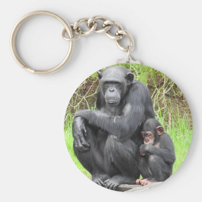Chaveiro Toque de Chimpanzee Key (Frente)