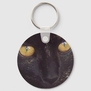 Chaveiro Tortie enfrenta
