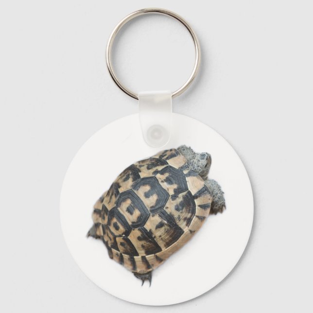Chaveiro Tortoise (Frente)
