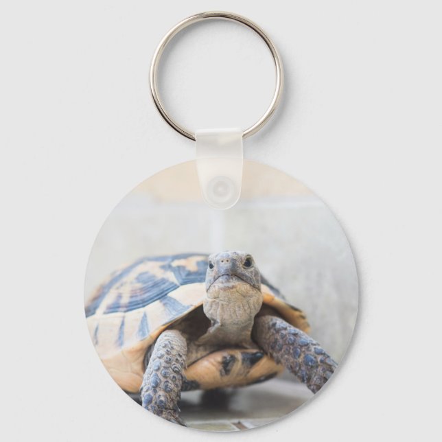 Chaveiro Tortoise (Frente)