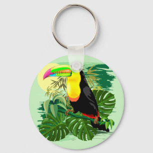 Chaveiro Toucan na floresta húmida verde de Amazónia