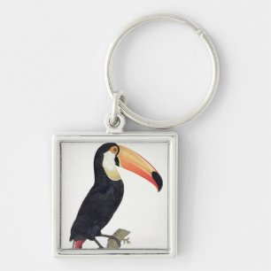 Chaveiro Toucan No.2, 'da história dos pássaros de Paradi