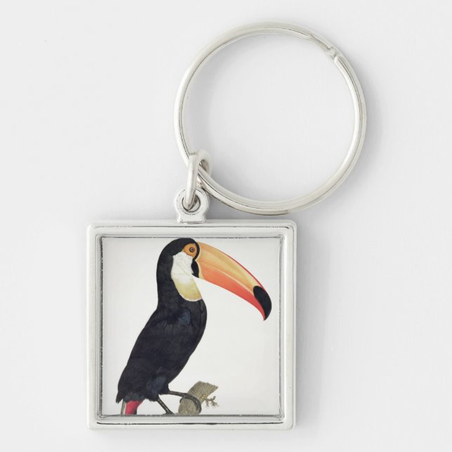 Chaveiro Toucan No.2, 'da história dos pássaros de Paradis (Frente)
