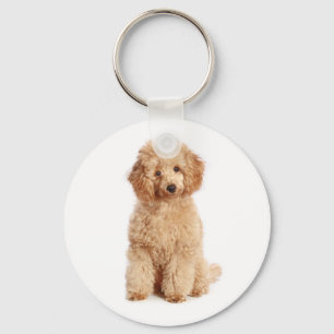 Chaveiro Toy Apricot Poodle Puppy Love Cog Key Chain
