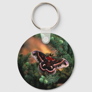 Chaveiro Traça de Cecropia